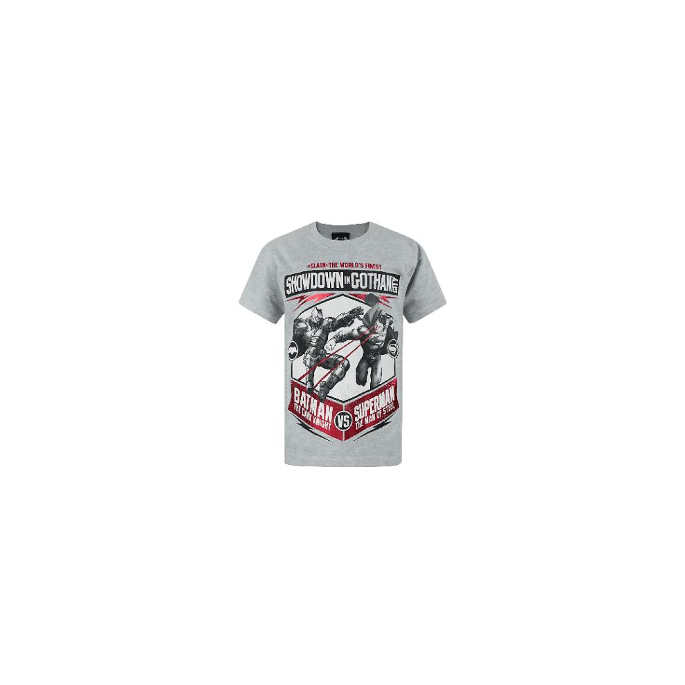 DC Comics Short Sleeved T-Shirt (Boys Grey)