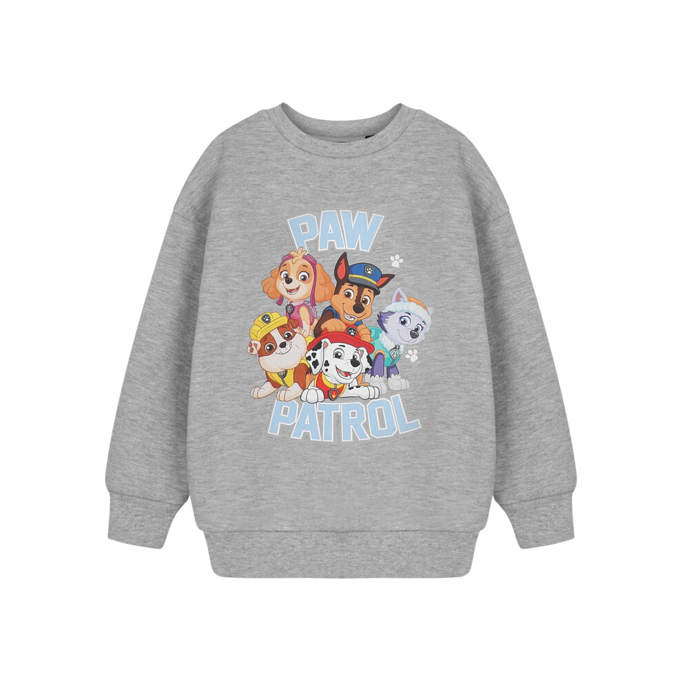 (7-8 Years) Paw Patrol Sweatshirt (Unisex Kids Grey)