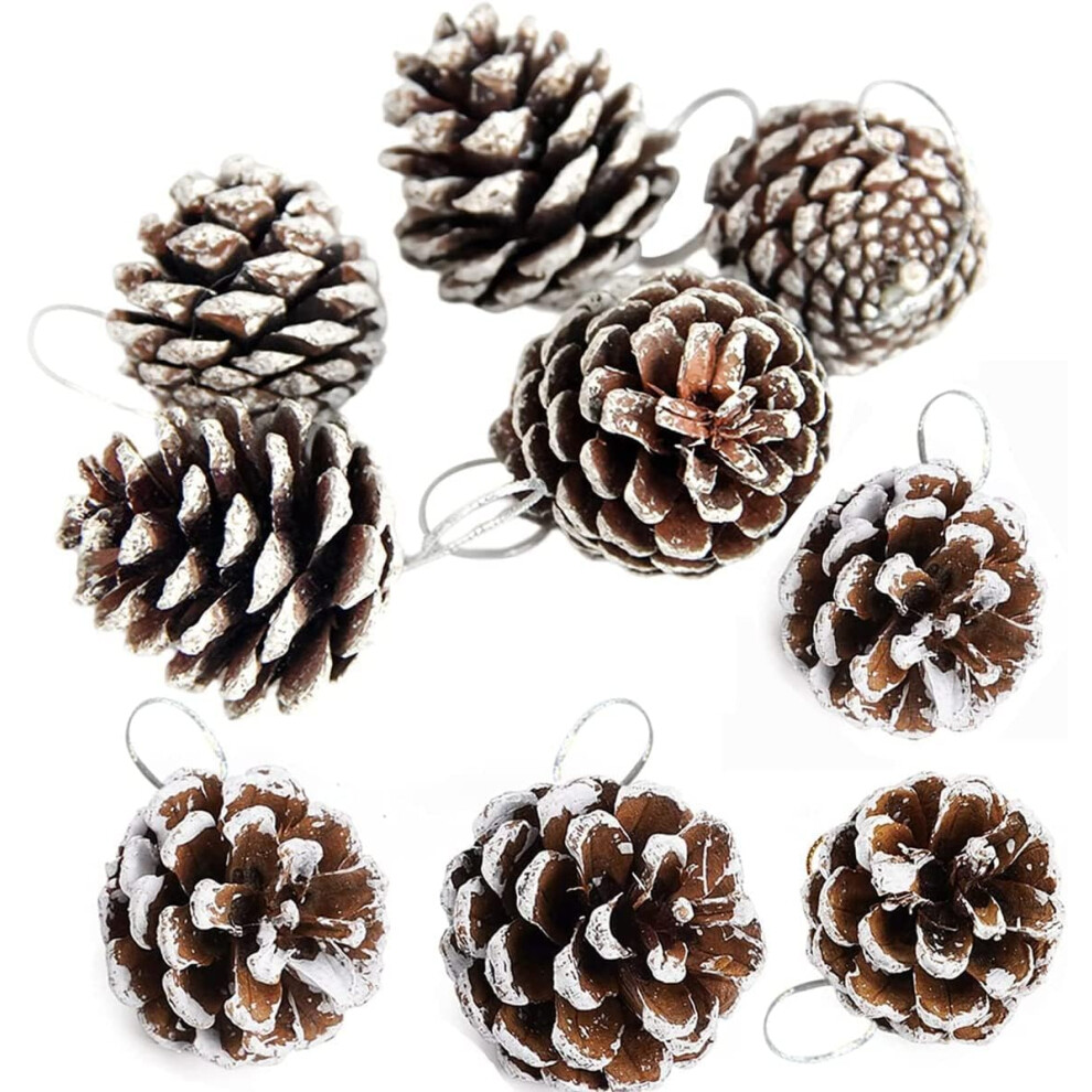 Pine Cones 24 Pieces Christmas PineCones Hanging Ornament for Christmas Tree Party Decoration (Snow)