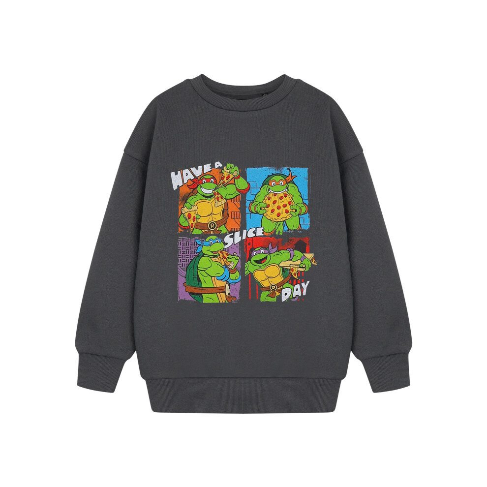 (7-8 Years) Teenage Mutant Ninja Turtles Sweatshirt (Boys Grey)