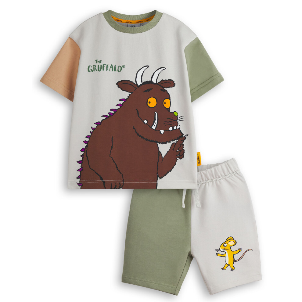 (3-4 Years) Gruffalo & Friends T-Shirt and Shorts Set (Boys Multicoloured)