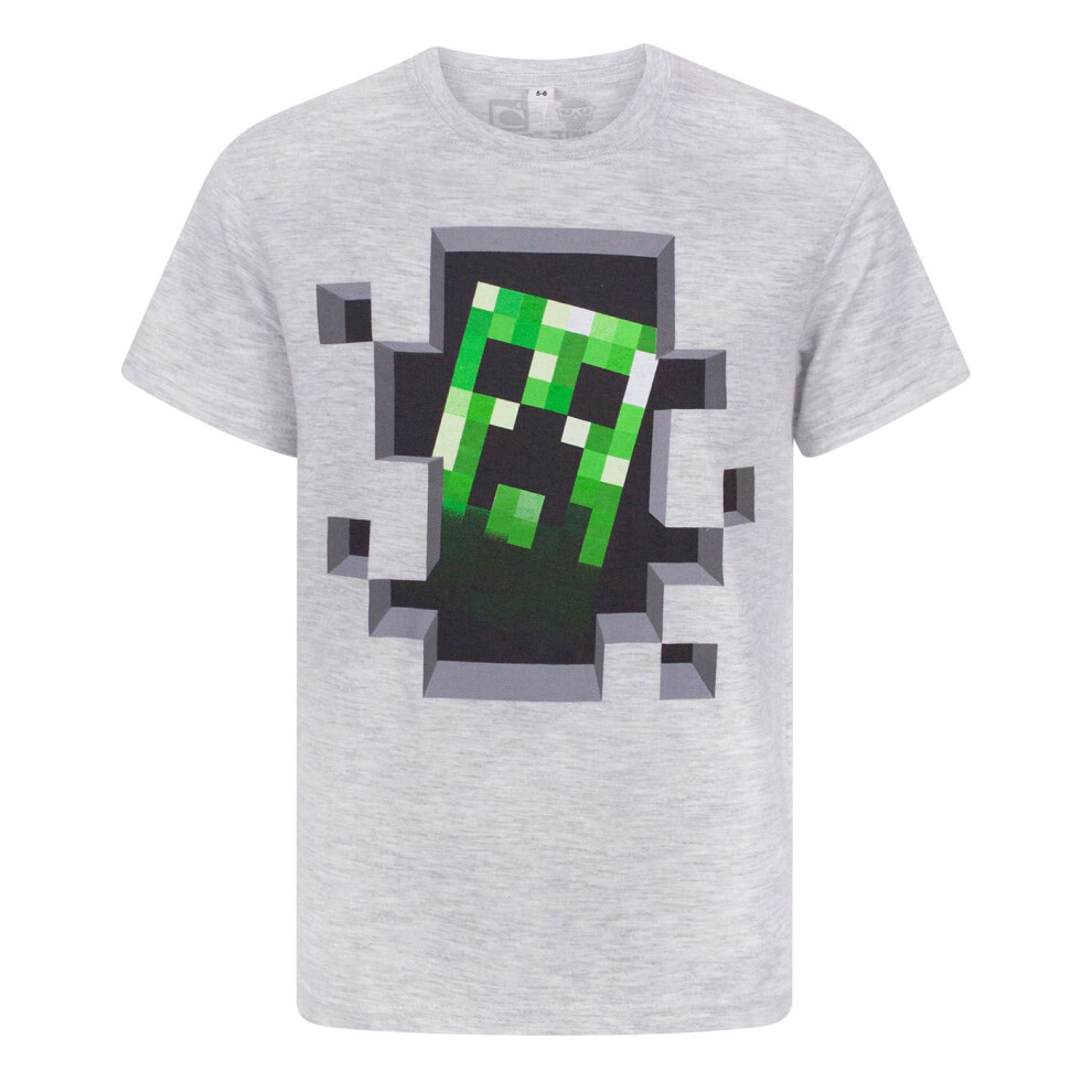 (3-4 Years) Minecraft Short Sleeved T-Shirt (Boys Grey)