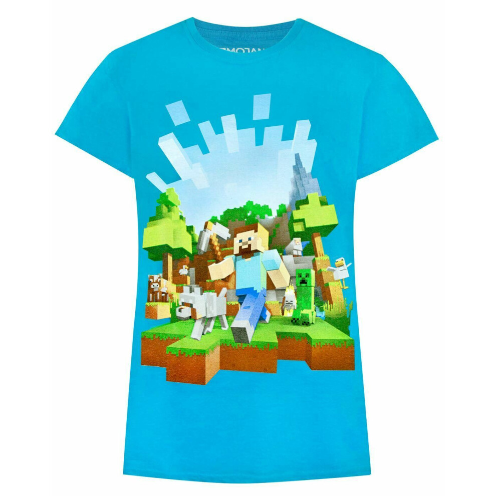 Minecraft Short Sleeved T-Shirt (Boys Blue)