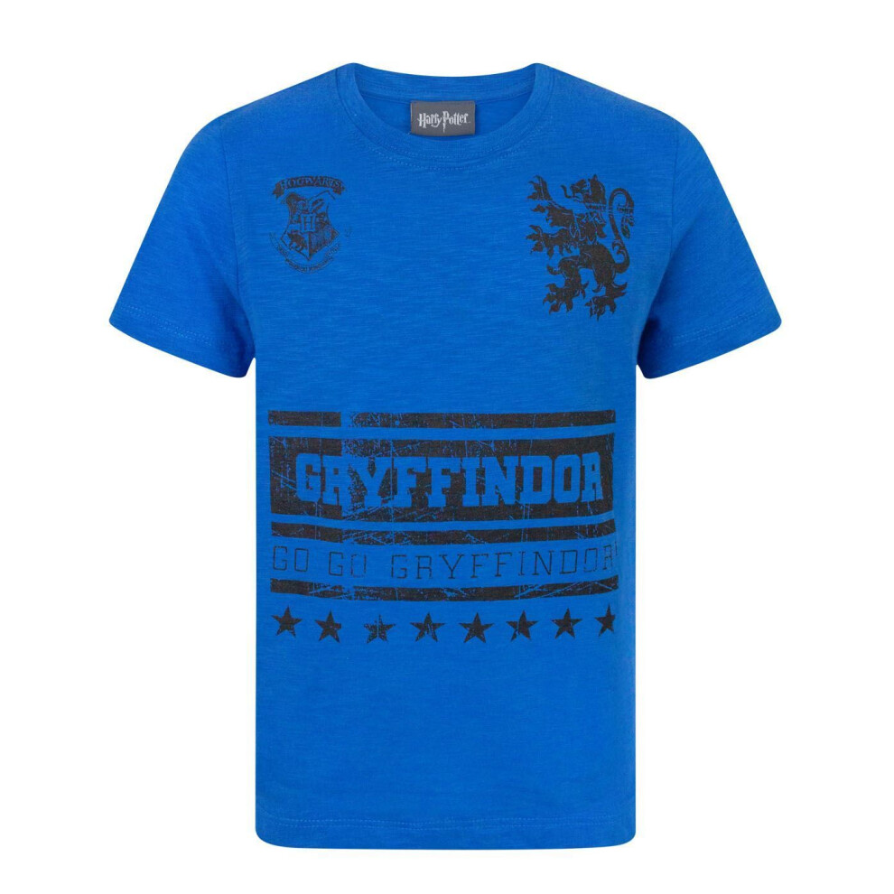 (13-14 Years) Harry Potter Short Sleeved T-Shirt (Boys Blue)