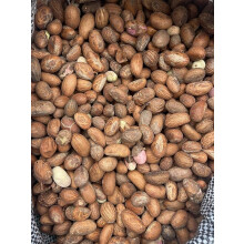 Fresh African Bitter Kola Nut Garcina Kola (1Kg)