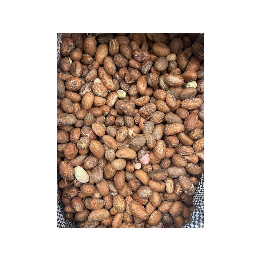 Fresh African Bitter Kola Nut Garcina Kola (1Kg)