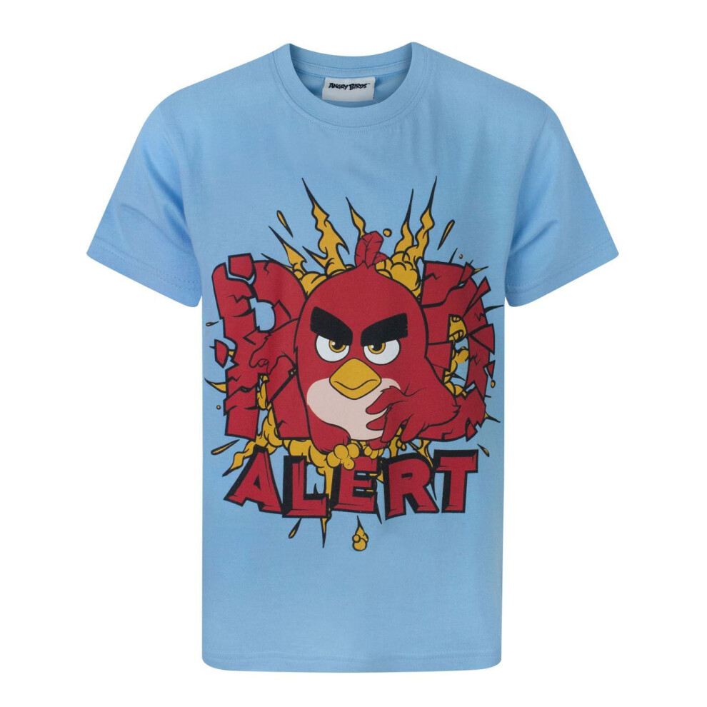 (13-14 Years) Angry Birds Short Sleeved T-Shirt (Boys Blue)