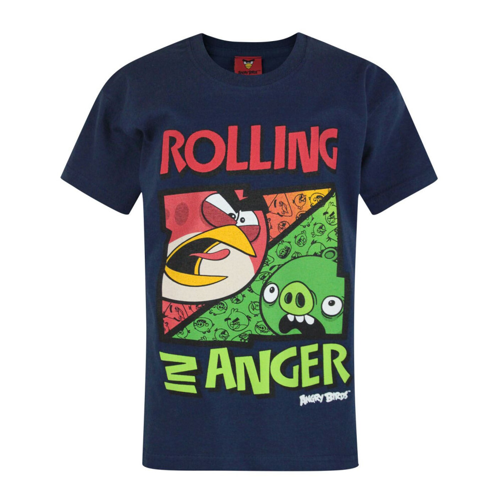 (9-10 Years) Angry Birds Short Sleeved T-Shirt (Boys Blue)