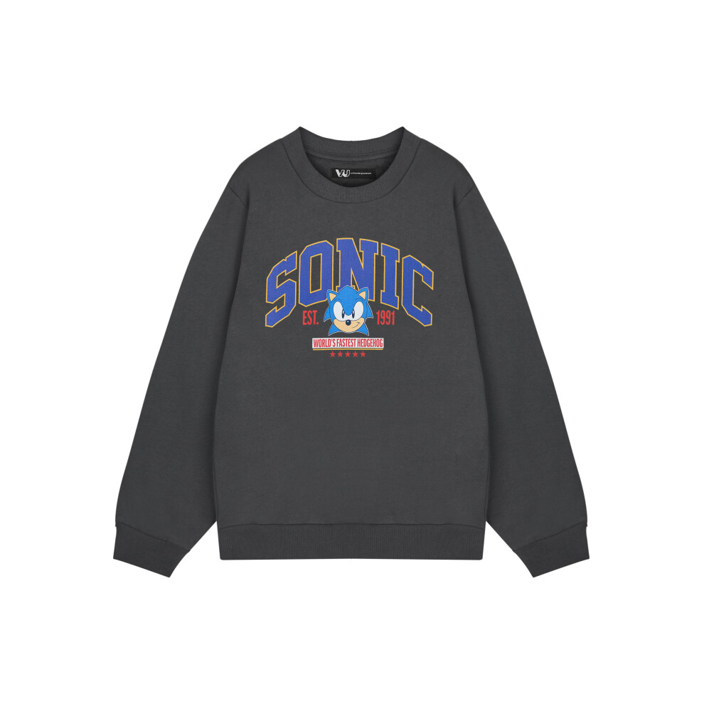 (XXX-Large) Sonic the Hedgehog Sweatshirt (Mens Grey)