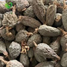 (10) Purelyagro Alligator Pepper Pods - (Mbongo Spice or Hepper Pepper)