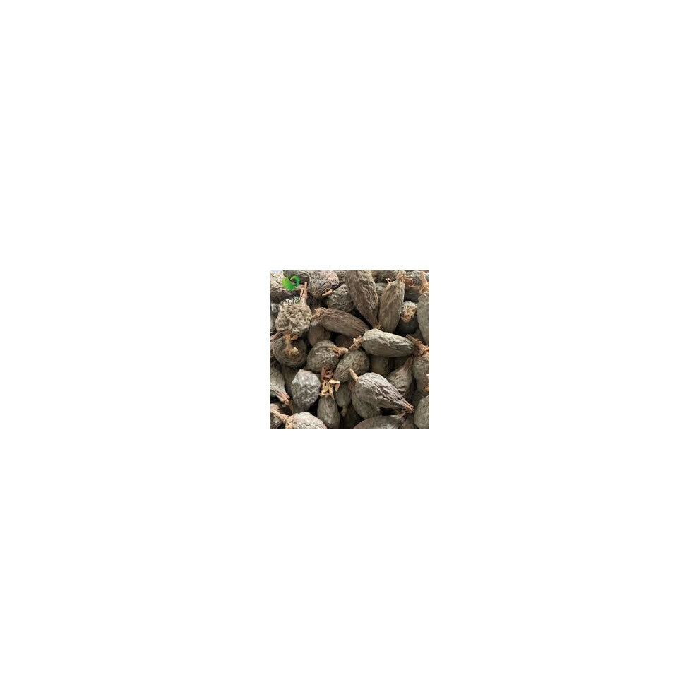 (10) Purelyagro Alligator Pepper Pods - (Mbongo Spice or Hepper Pepper)