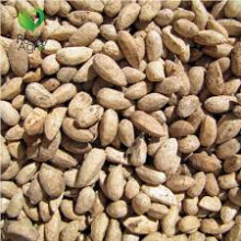(2000) Purelyagro Neem Seeds Azadirachta Indica Sun Dried Organic Neem Beej Nimboli