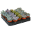 Echeveria Mix (5cm, 20 plants) 2