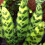 Gardeners Dream Calathea Insignis (14cm) V1 2