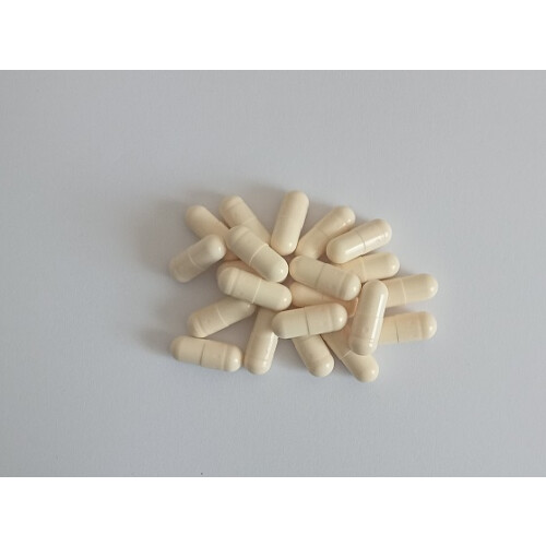 Apple Cider Vinegar + Mother 600mg (90 Capsules)