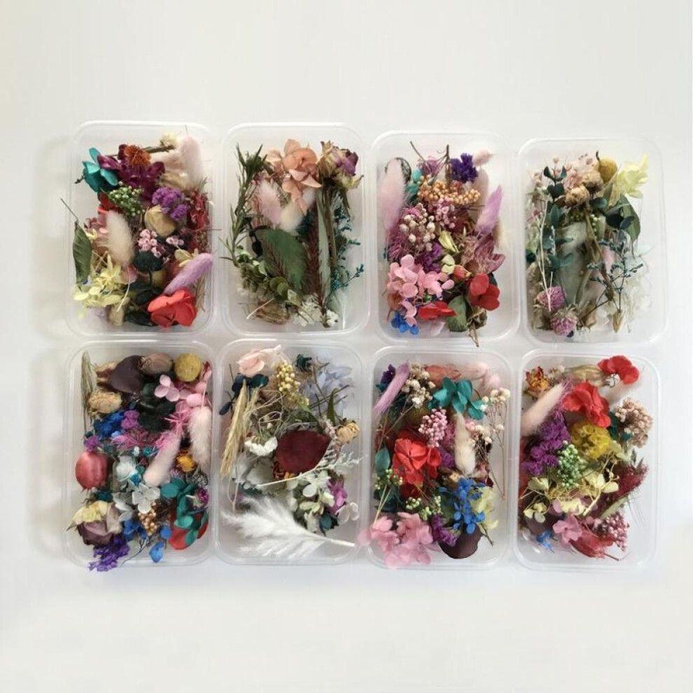 1 Box Real Dried Flower Dry Plants For Aromatherapy Candle Epoxy Resin Pendant Making Craft DIY