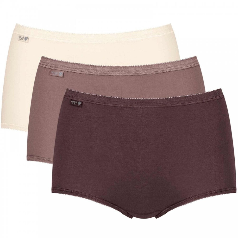 (12) Holiday Edition 3 Pack Maxi Brief, Brown/Light Combination