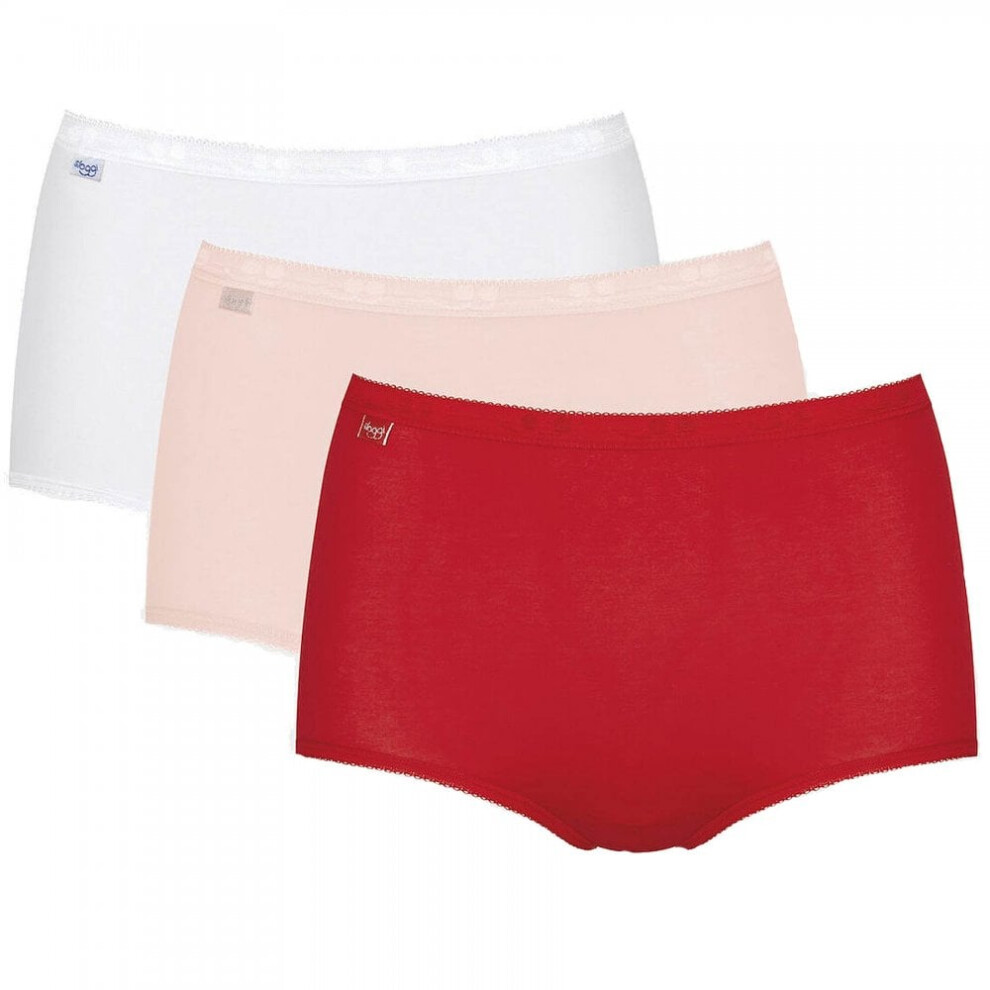 (28) Basic 3 Pack Maxi Brief, Red / Light Combination