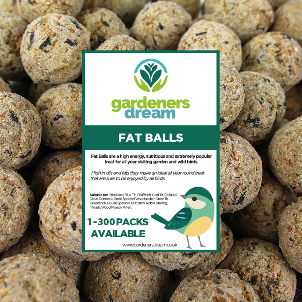 GardenersDream Suet Fat Balls - High Energy Wild Garden Bird Food (10)