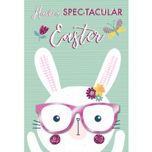 Have A Spec-Tacular Easter Card Cute Hello You Embellished Greetings Cards