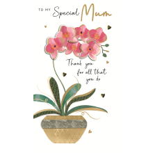 My Special Mum Thank You Embellished Mother's Day Card Champagne Greeting Cards