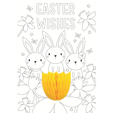 Easter Wishes Colour-Me-In Easter Activity Card With Honeycomb Decoration
