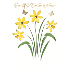 Beautiful Easter Wishes Daffs Hand-Finished Easter Card Autograph Greeting Card