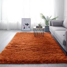 (160cm x 230cm (5ft 3" x 7ft 6"), Rust Orange) Non Slip Rugs Shaggy Thick Large Living Room Rugs Bedroom Carpets Hallway Runner & Bath Door Mats