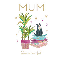 Mum You're Purrfect Happiness Mother's Day Contemporary Greeting Card