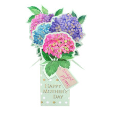 Wonderful Mum Hydrangeas So Pretty! Mother's Day Pop Up Clever Cube Card