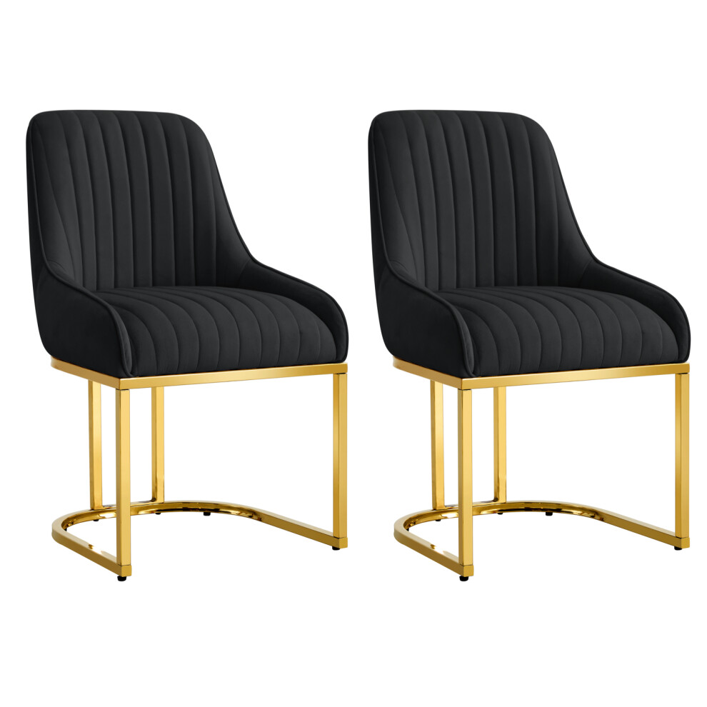Hygrad (Black ) Set Of 2 Velvet Dining Chairs Luxury Padded Dining Room Chairs Armless Gold