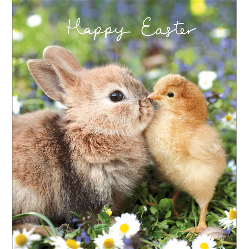 Woodmansterne Pack Of 5 Happy Easter Hoppy Together Easter Cute Pack Of Greeting Cards