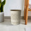 (CREAM) 9 L FLORA PAPER BIN OFFICE KITCHEN BEDROOM COLOUR 6