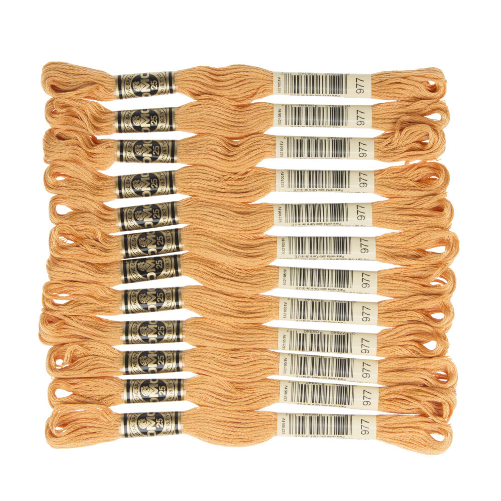 DMC 6-Strand Embroidery Cotton Floss, Light Golden Brown