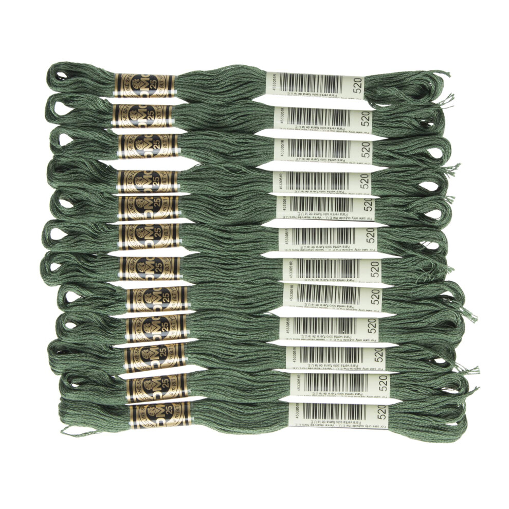 DMC 6-Strand Embroidery Cotton Floss, Dark Fern Green