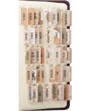 DiverseBee Laminated Bibeltabbar (Stora bokstäver, Lättlästa), Bibel Journalförsörjning, 66 Tabbar