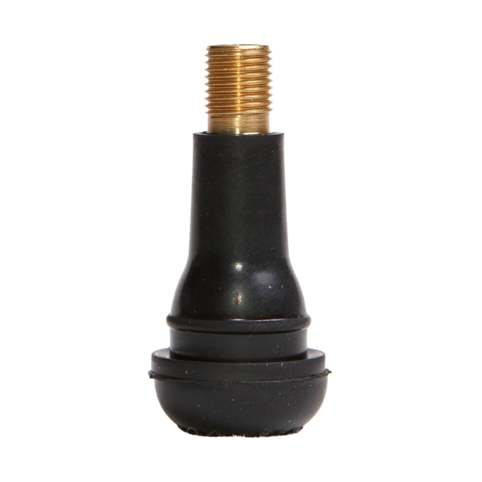 Workhorse Automotive TR413 Passenger Tire Valve Stems, Replacement Valve Stems Pack of 100, Save 10% Buying 2 or More!