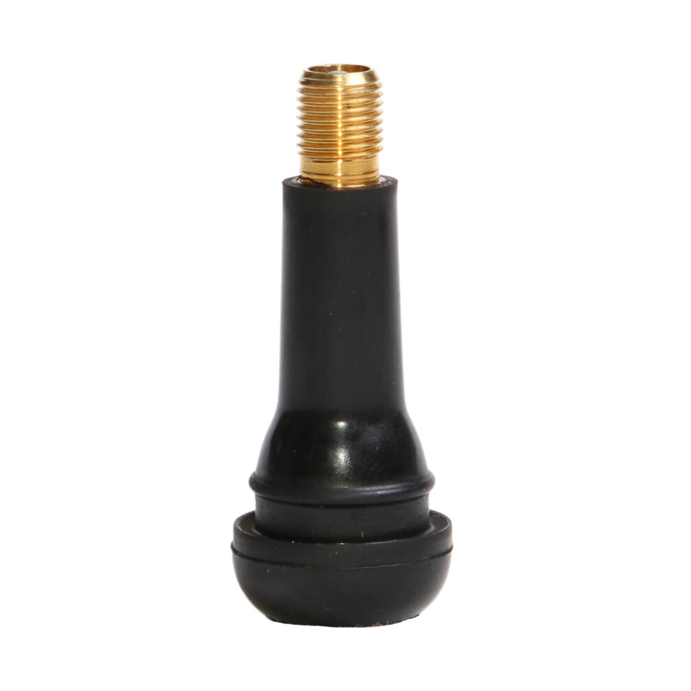 Workhorse Automotive TR414 Passenger Tire Valve Stems, Replacement Valve Stems Pack of 100, Save 10% Buying 2 or More!