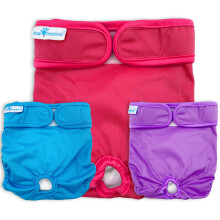 Paw Inspired Fraldas Reutilizáveis para Cães | Fraldas para Cães Fêmeas | 3 Peças | Várias Cores
