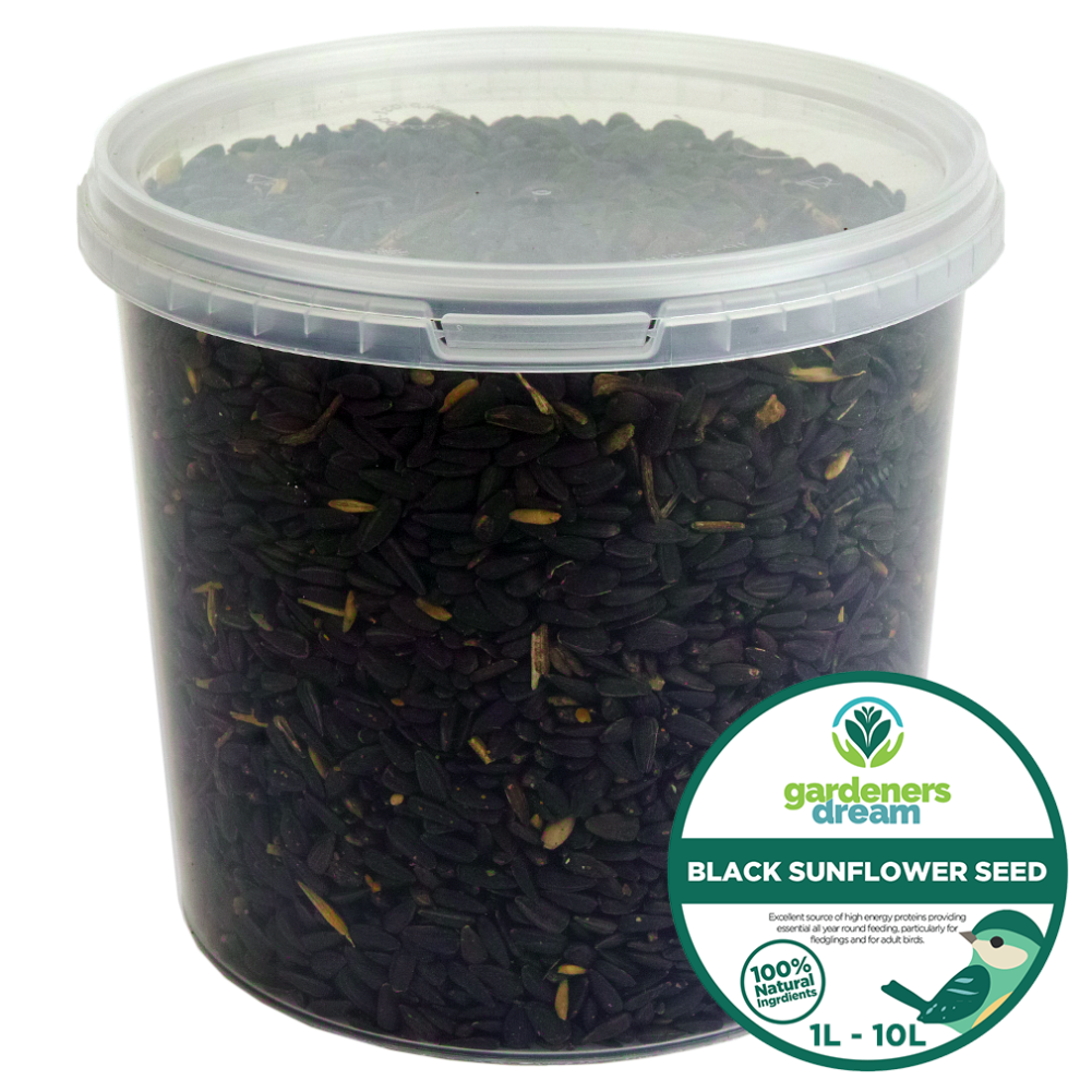 GardenersDream Black Oil Sunflower Seeds - Oil Rich Feed Wild Garden Bird Food