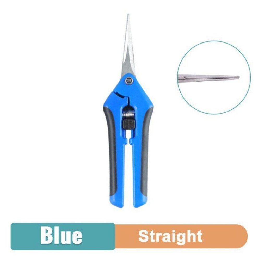 (straight, blue) 1Pcs Gardening Fruit Picking Scissors Cut Tools for Shrub Trimmer Household Leaf Potted Branch Pruner
