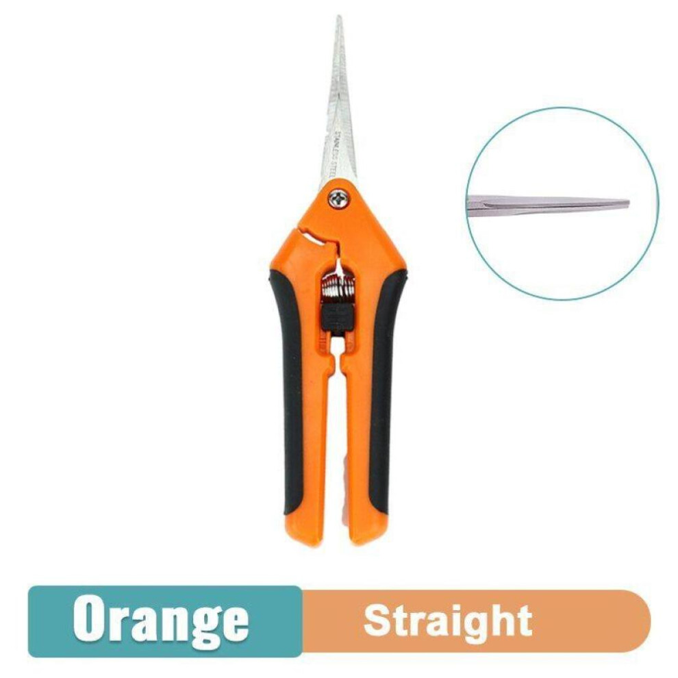 (straight, orange) 1Pcs Gardening Fruit Picking Scissors Cut Tools for Shrub Trimmer Household Leaf Potted Branch Pruner