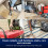 Bissell BISSEL SpotClean 3681E Cordless Carpet Cleaner 2