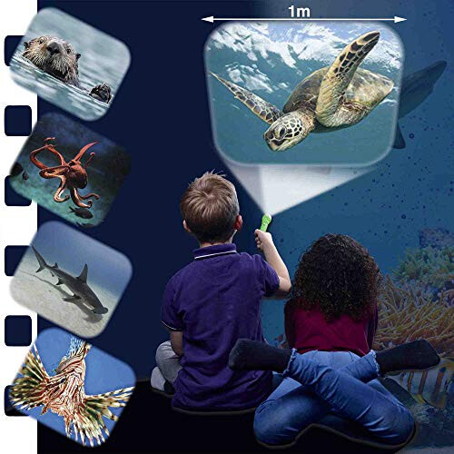 Natural History Museum Natural History Museum Sea Creatures Torch and Projector 2