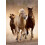 Clementoni Clementoni - Running horses - 1000 Piece Puzzle 2