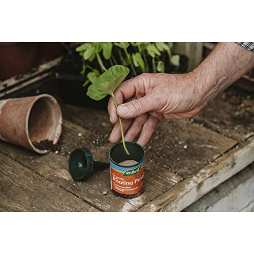 Westland Westland 20200030 Organic Rooting Powder, 100 g, White 1