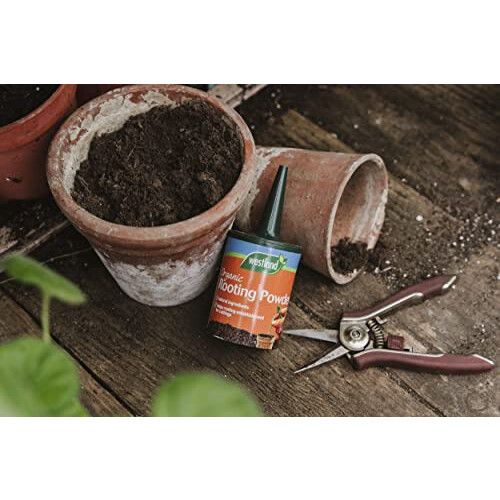 Westland Westland 20200030 Organic Rooting Powder, 100 g, White 2