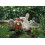 Wrendale Wrendale Designs - 'Webster' Plush Character 3