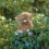 Wrendale Wrendale Designs - ?Gordon Junior? Plush Character 2