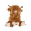 Wrendale Wrendale Designs - ?Gordon Junior? Plush Character 1